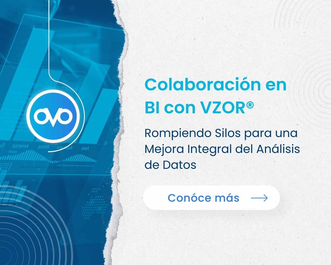 Colaboración en BI con VZOR® – Rompiendo Silos para una Mejora Integral del Análisis de Datos